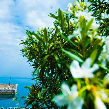 Miradouro Sea Front Residences شقة